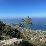 Madeira Madeira